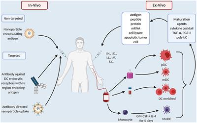 Frontiers | Moving On From Sipuleucel-T: New Dendritic Cell Vaccine ...